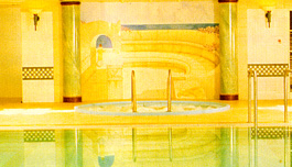spa.JPG (3972 bytes)