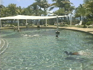 Pictures of the Great Barrier Reef, Cairns, Port Douglas, Queensland, Australia