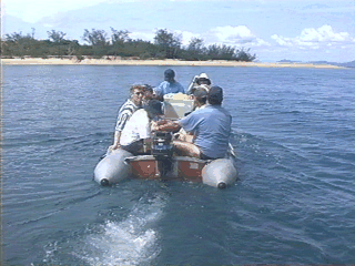Pictures of activities on the Great Barrier Reef, Cairns, Port Douglas, Queensland, Australia