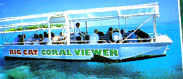 reefviewing.JPG (34335 bytes)
