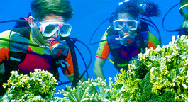 scuba.JPG (50863 bytes)
