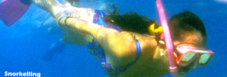 snorkel.JPG (43532 bytes)