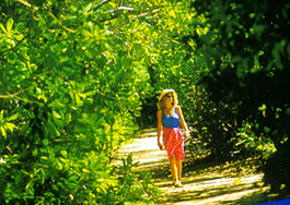 walk.JPG (66852 bytes)