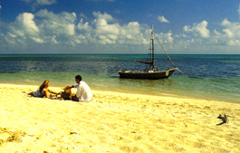 beach.JPG (33450 bytes)