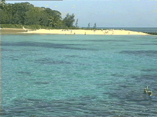 Pictures of accommodations on the Great Barrier Reef, Cairns, Port Douglas, Queensland, Australia
