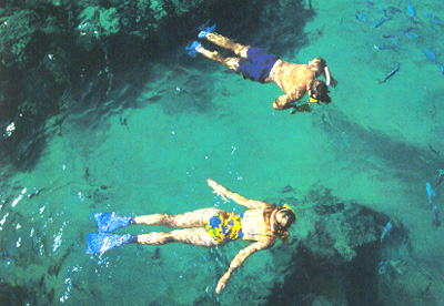 snorkel.JPG (83141 bytes)