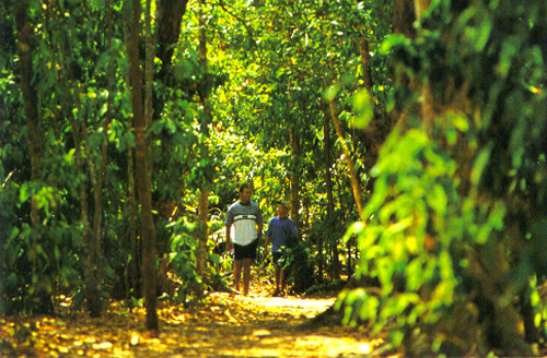Leisurely Island Walk
