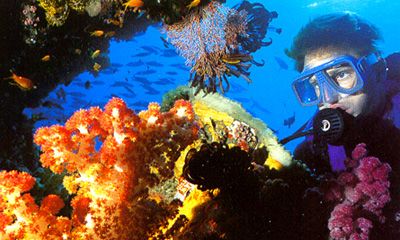 scuba.JPG (94996 bytes)