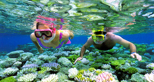 The Great Barrier Reef