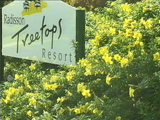 Pictures of accommodations on the Great Barrier Reef, Cairns, Port Douglas, Queensland, Australia